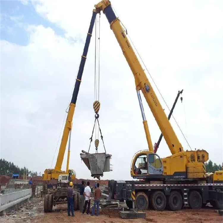 佛罗镇小型吊机出租电话|厂房设备吊装方案|24小时服务覆盖